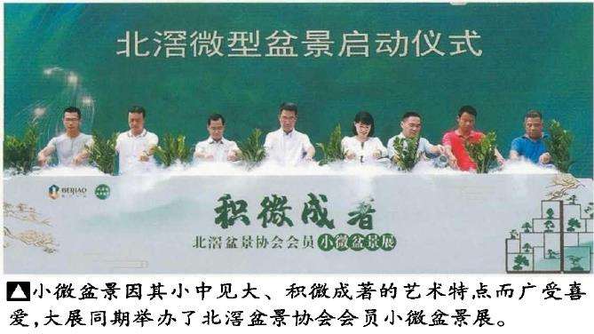 2021 景名城顺德第三届盆景大展成功举办