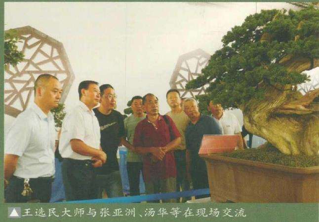 淮安市花木盆景协会会员联谊嘉年华