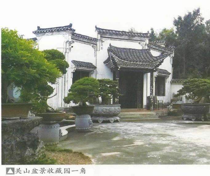 花木盆景杂志社岭南行侧记 图片