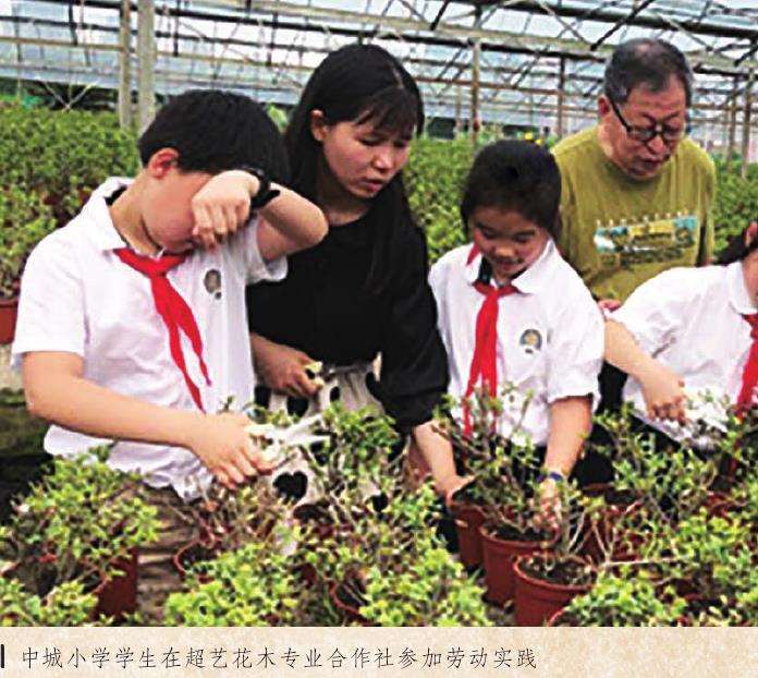 宁波超艺盆景专业合作社 郑国明 图片