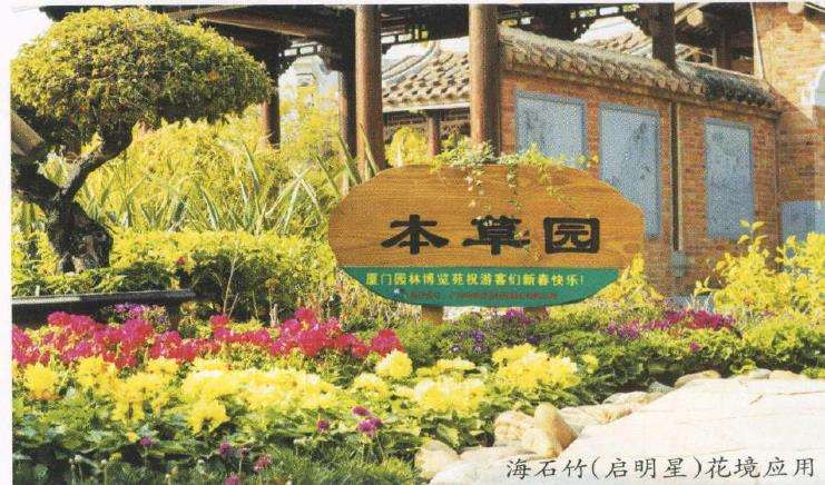 草花新品种在厦门公园的引种试验及其公园绿化应用