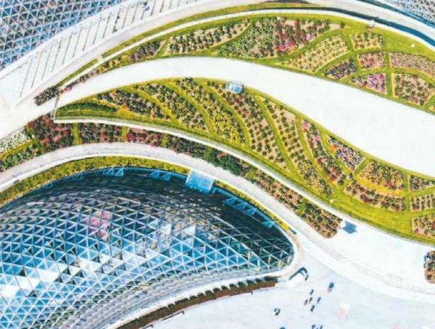 都市里的大花园 上海辰山植物园 下
