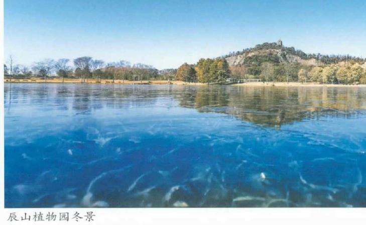 都市里的大花园 上海辰山植物园 下