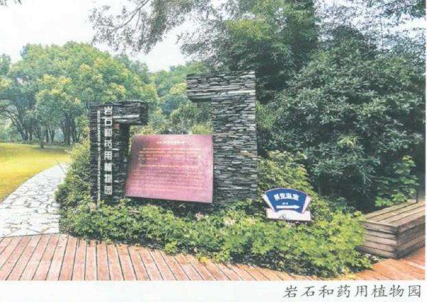 都市里的大花园 上海辰山植物园 下