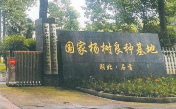 湖北省国家级重点林木良种基地概况