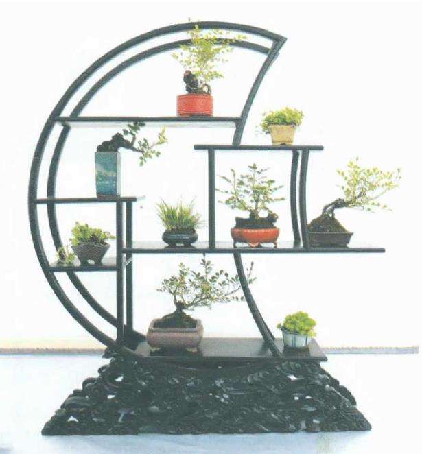 月季盆景怎么造型 第二篇 图片