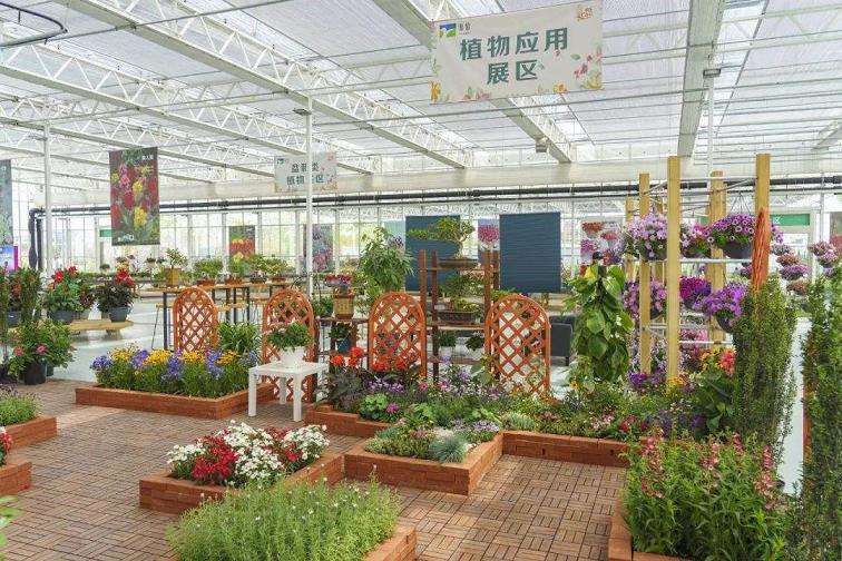 济南举行大汉花卉品种展示会