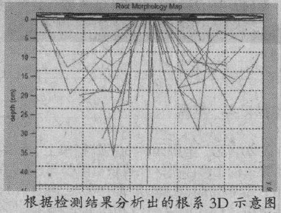 专业仪器怎么保护古树的3个方法 图片
