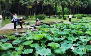 2020年 上海植物园改扩建工程获批