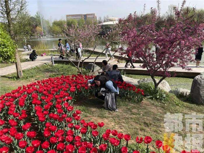 1984 陕西省西安植物园正式对外开放