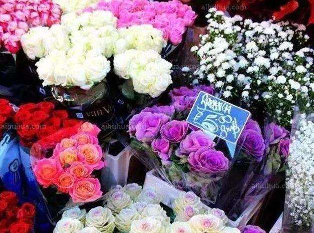 现代城市呼唤持久繁荣的花市