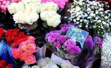 现代城市呼唤持久繁荣的花市