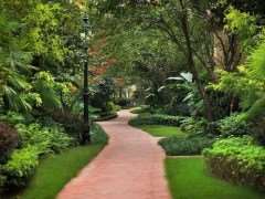 如何增强园林植物御寒抗冻能力的3个方法