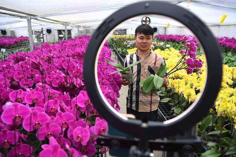 2021 鲜花直播电商的发展趋势