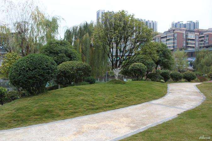 为什么园林公司能进入林业碳汇领域