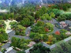 园林绿化如何避免出现药害的5个方法