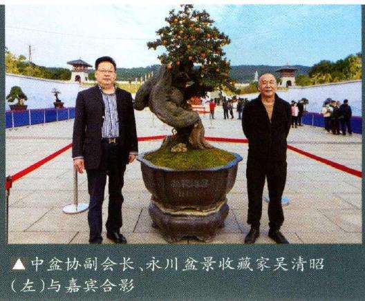 重庆永川第二届盆景艺术展成功举办