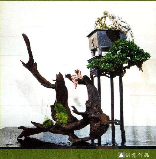 2021国际盆景艺术节活动图片