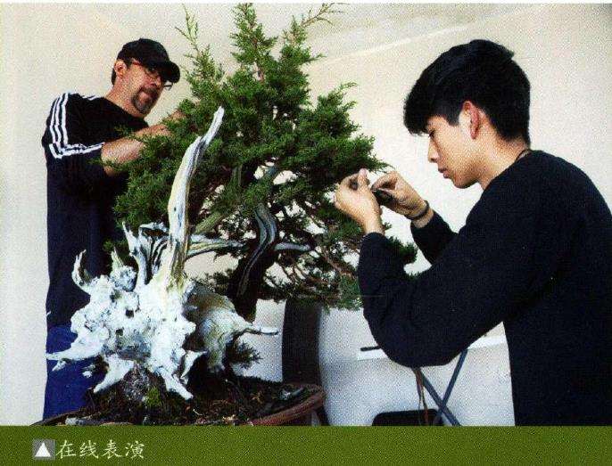 2021国际盆景艺术节活动图片