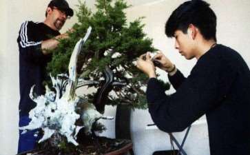 2021国际盆景艺术节活动图片