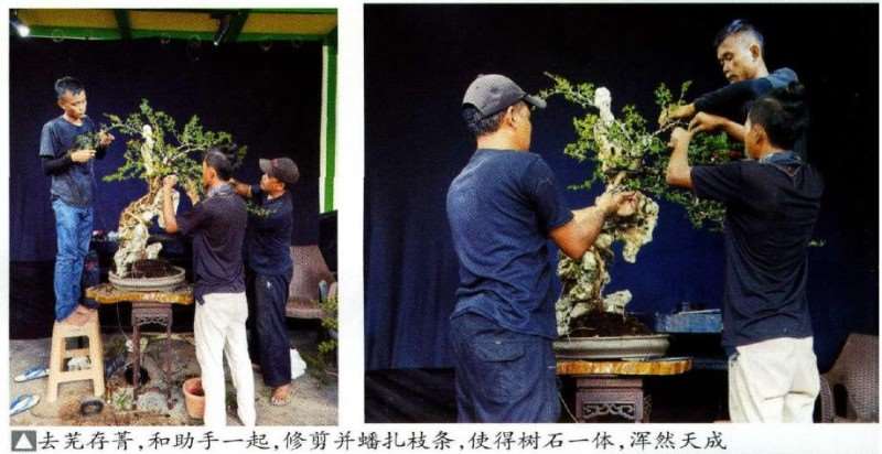 2021国际盆景艺术节活动图片