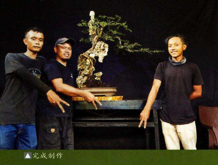 2021国际盆景艺术节活动图片