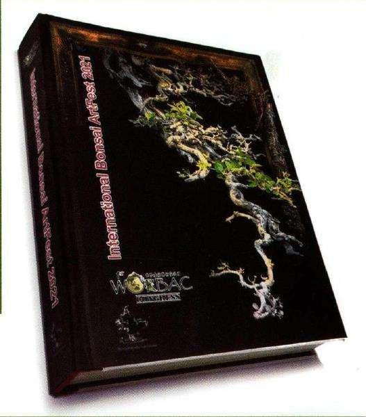 2021国际盆景艺术节活动图片