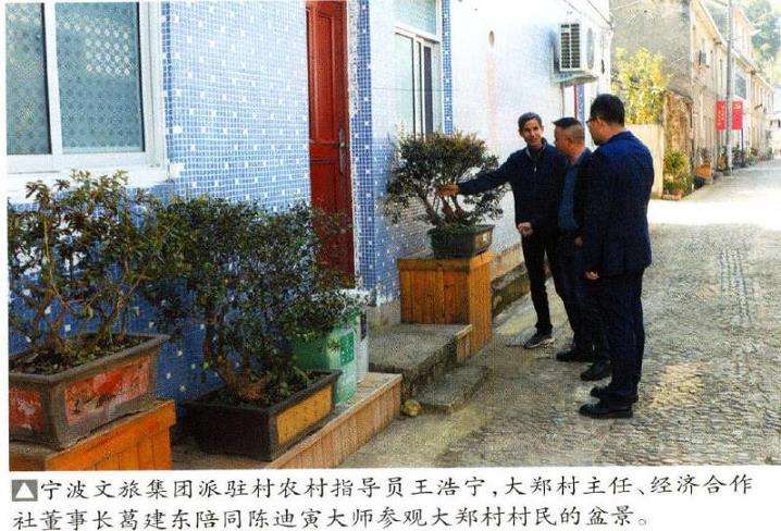 2021年浙江宁海县举办盆景技术培训班