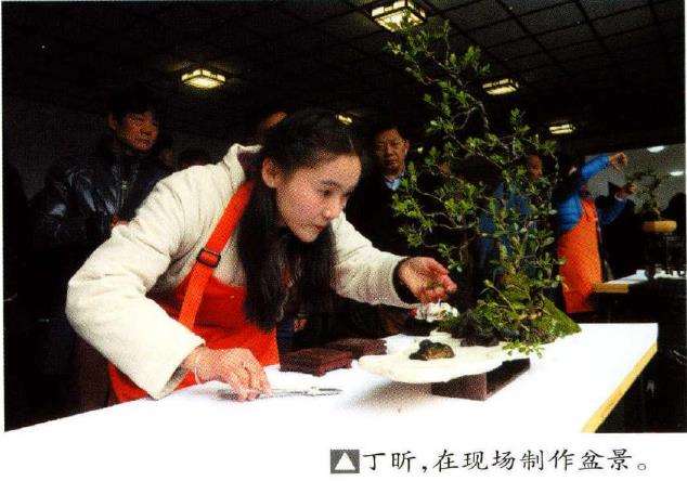 扬州青年女盆景师 丁昕 图片