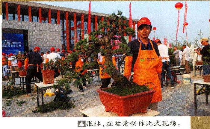 扬州青年女盆景师 丁昕 图片