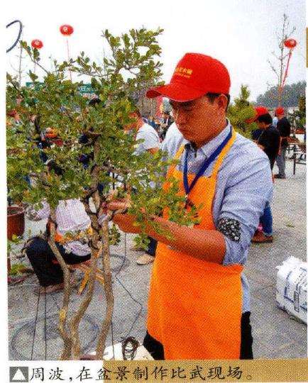 扬州青年女盆景师 丁昕 图片