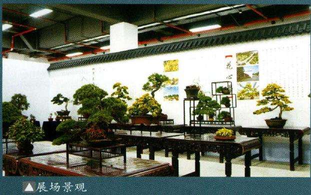 2021 全国精品盆景展暨盆景交易会