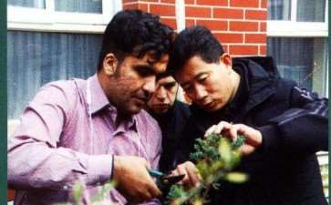 沧州盆景学校迎来留学生 图片