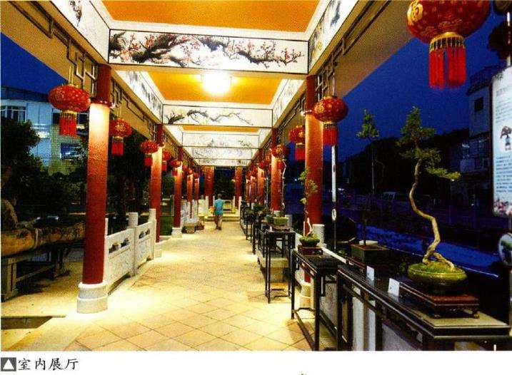 容桂盆景协会盆景园举行弄文玩素