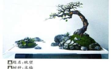 绍兴盆景艺术家 魏建民 图片