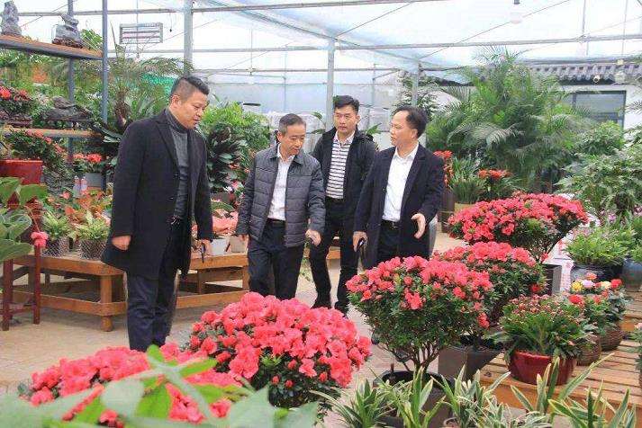 夏溪花木市场 哪变了