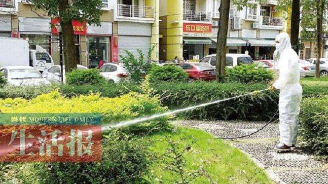 园林防治蚊子 哪些方法是真正高效的呢