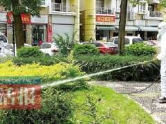 园林防治蚊子 哪些方法是真正高效的呢