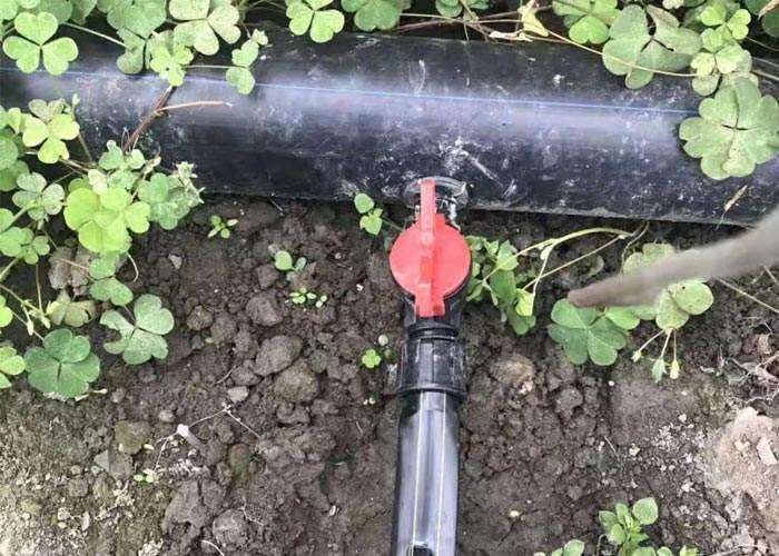 家庭园艺怎么选择浇灌设施的3个方法