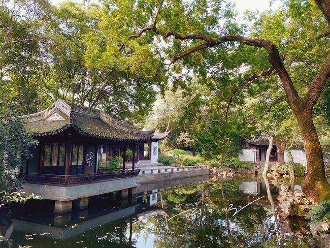 上海园林行业发展的百年沧桑与巨变