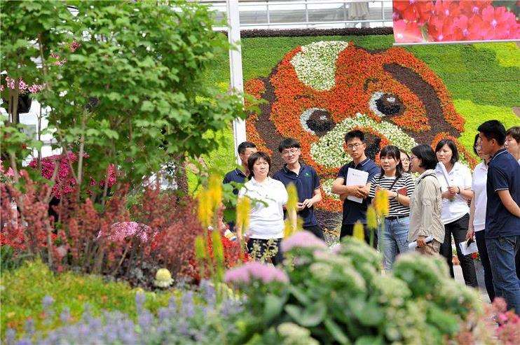 北京通州花木销售延续好势头
