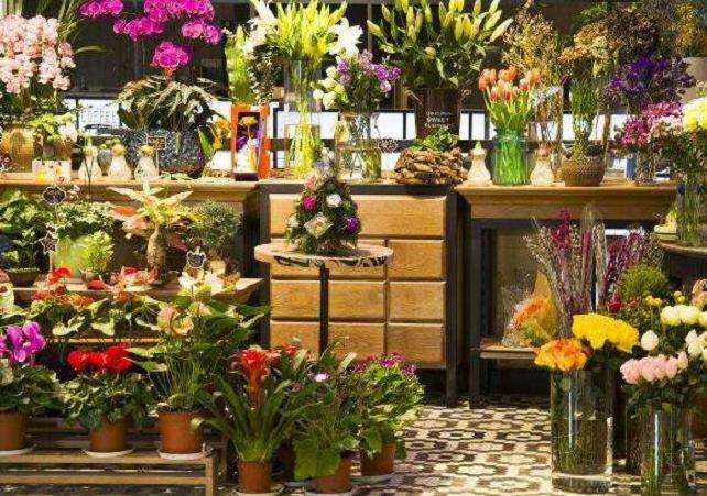 为什么2019花卉绿植波动较大