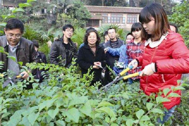 园林人才需求呼唤 职业教育体系改