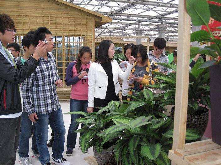 园林大专距离全面实操性教学还有多远