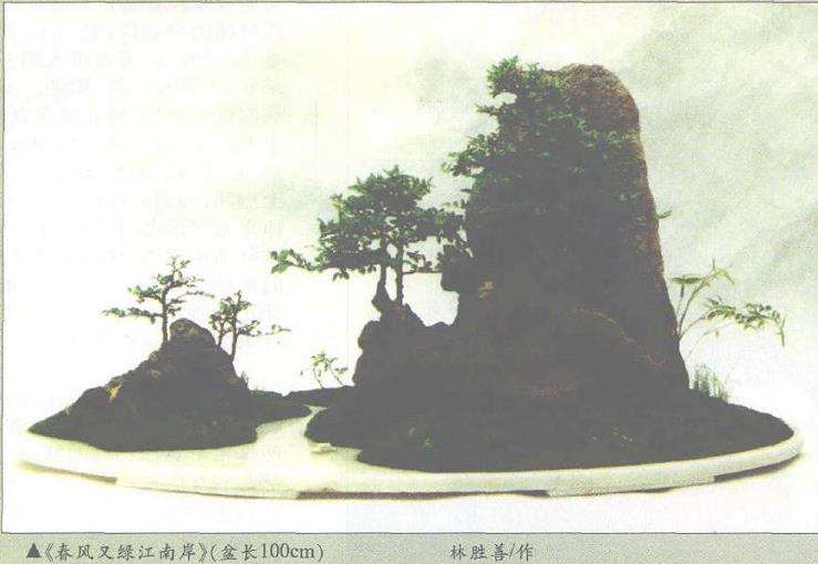 附石盆景《春风双绿江南岸》制作手记