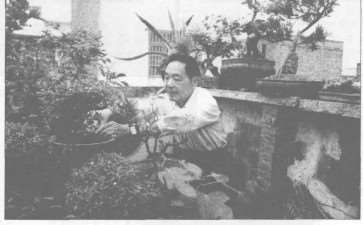 我退休已6年了 还迷于制作盆景 图片