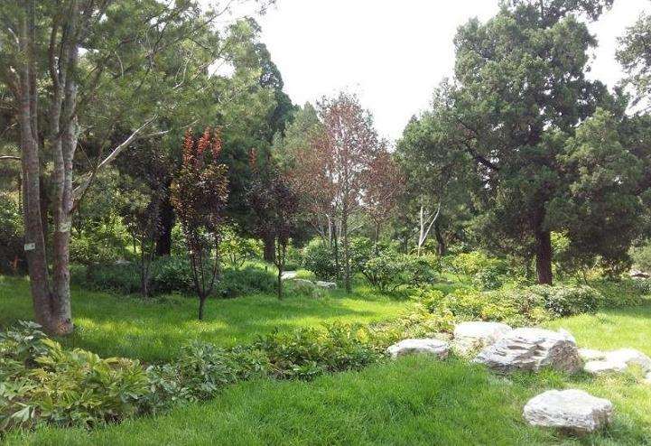 2018 园林花木人打造自己独一无二的品牌