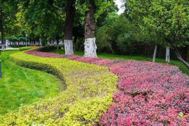 2018 园林花木人打造自己独一无二的品牌