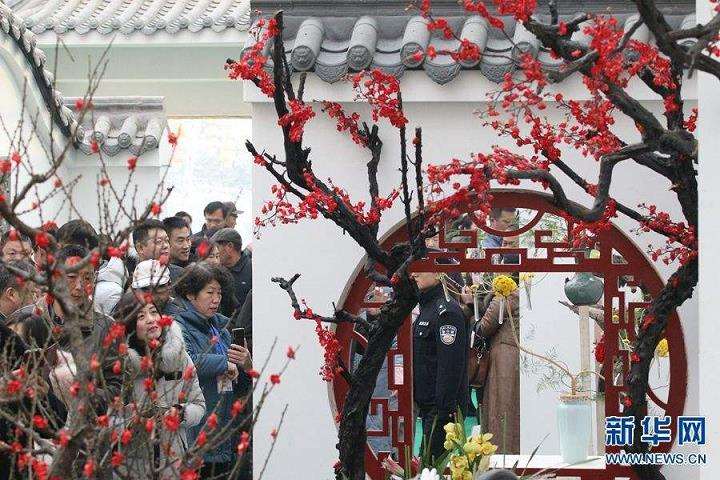 第七届焉仔陵蜡梅梅花文化节