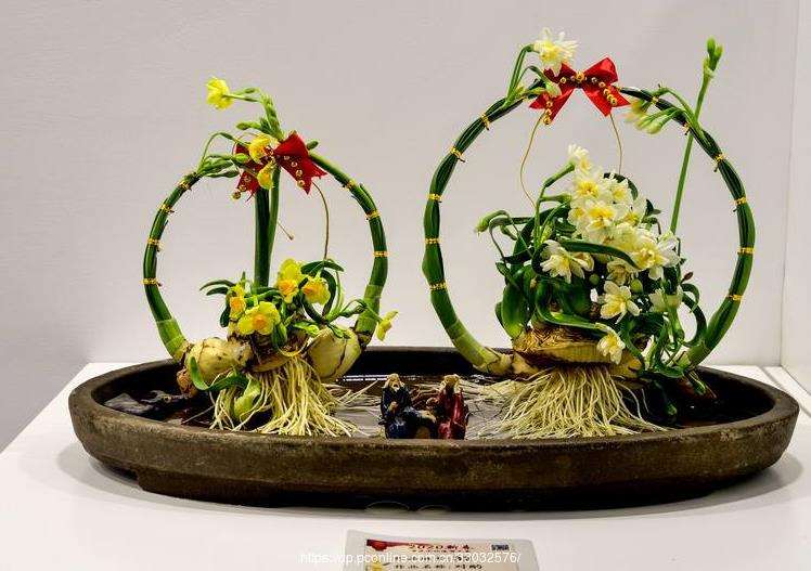 水仙花艺术怎么雕刻的5个步骤